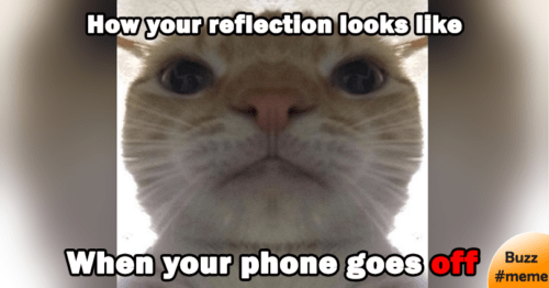 Your reflection when your phone goes off